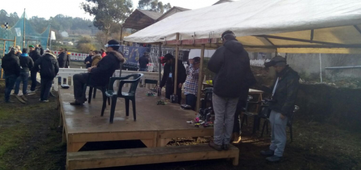 Inauguración aserradero